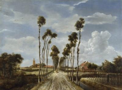 Ruhige landschaft mit laubengang und weitem himmel