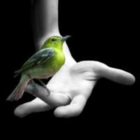 Jose María Frutos Vargas