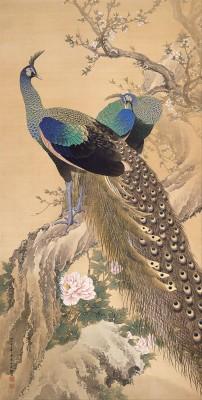 A Pair Of Peacocks In Spring