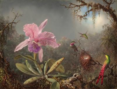Cattleya orchidee und drei kolibris im garten