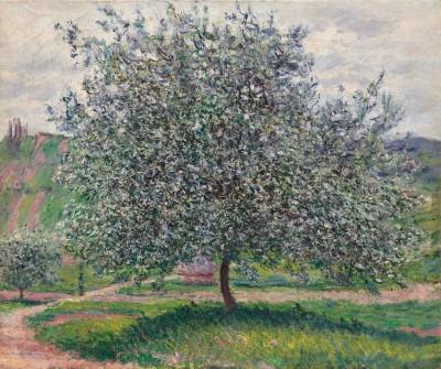 Lichtspiel im garten von monet - artwork in frame preview