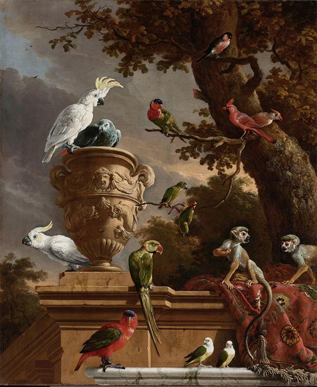De menagerie von melchior d'hondecoeter in blauem licht