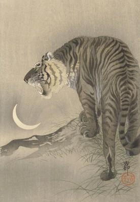Roaring tiger im lowkey outdoor-ambiente - artwork in frame preview