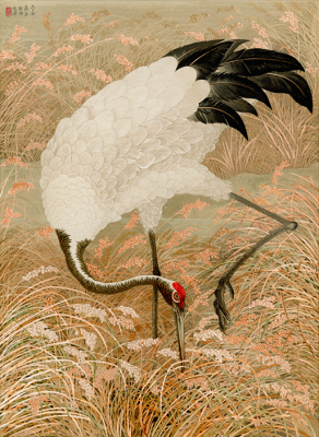 Sarus Crane In A Rice Field