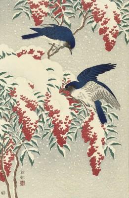 Vliegenvangers Op Een Nandinastruik