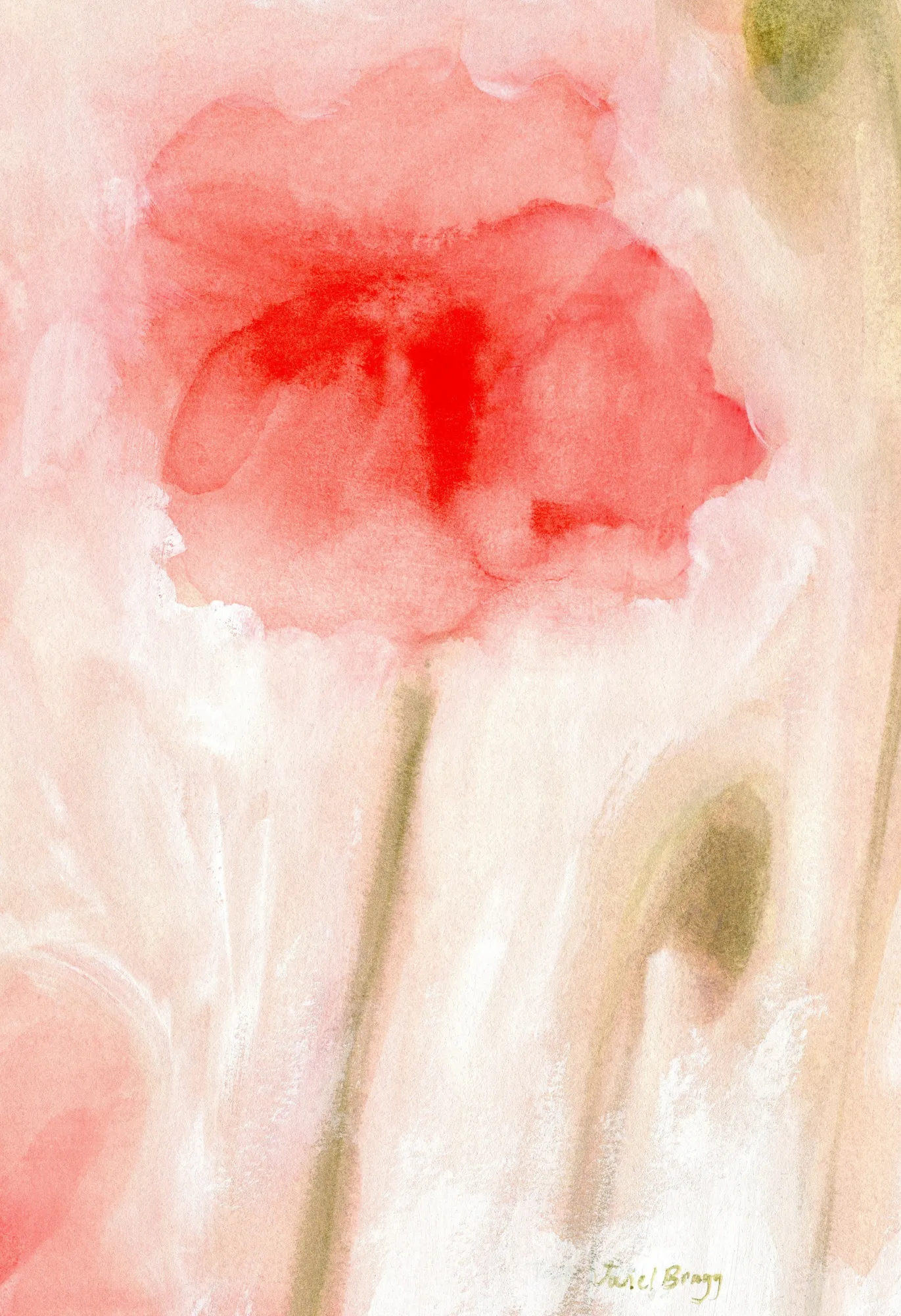 Florale impression in coral ii von janel bragg
