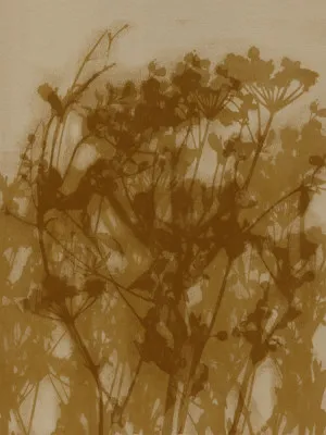Abstract florals in ochre and beige tones