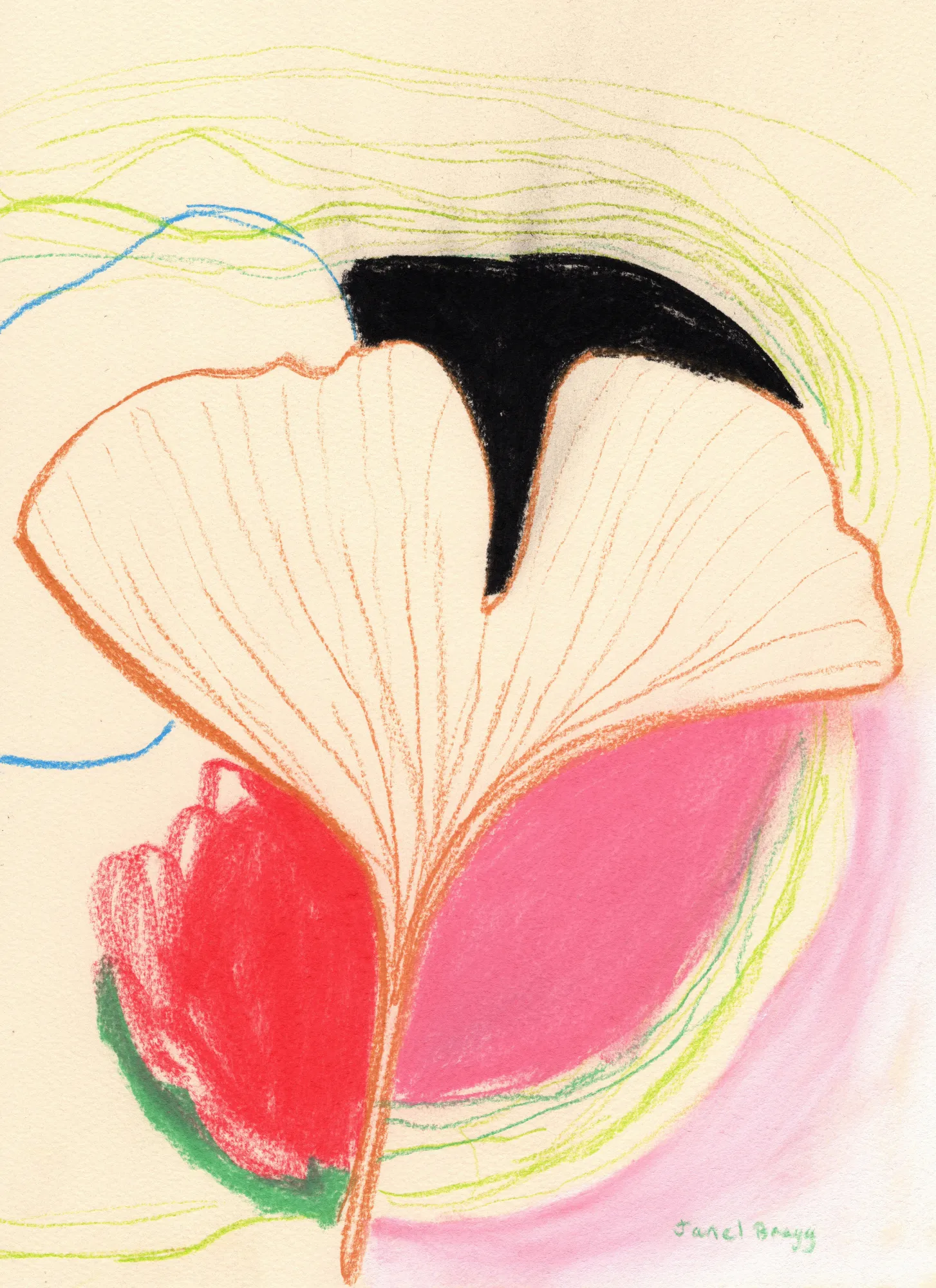 Ginkgo leaves in color ii von janel bragg