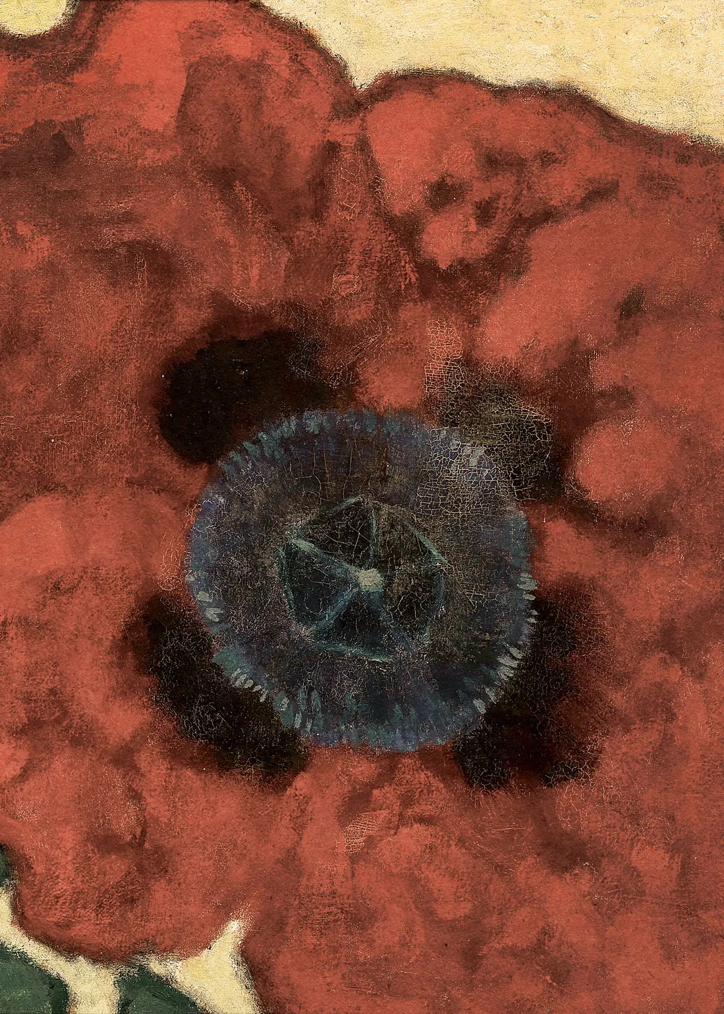 Artur nikodem poppy flower in winterstimmung