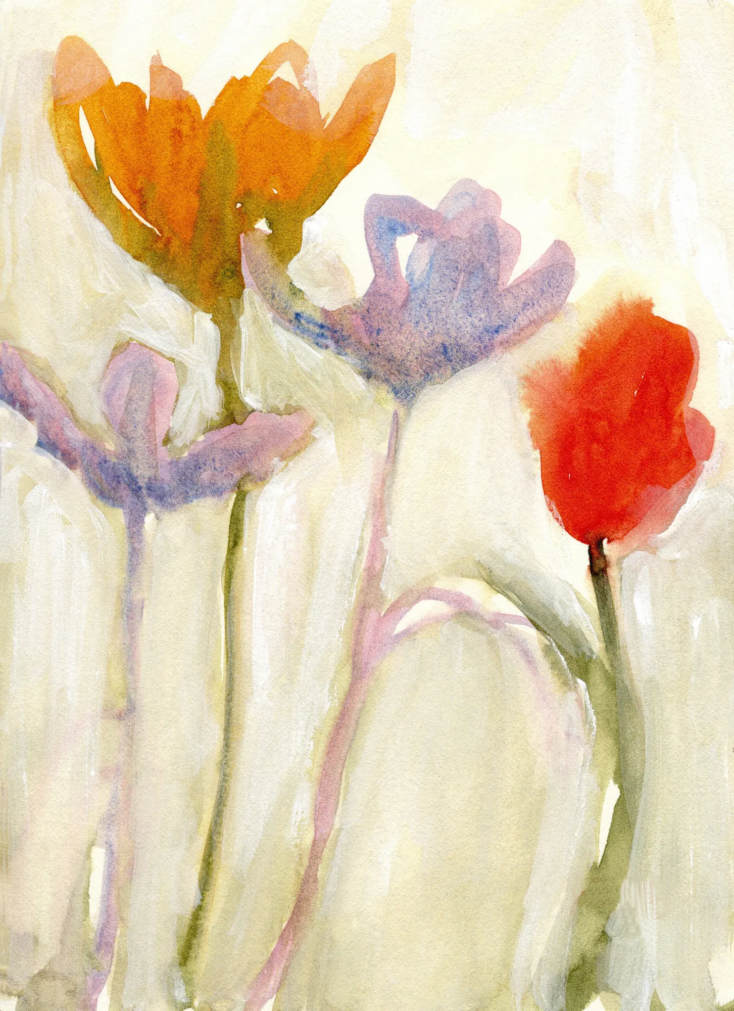 Tulpen im frühling ii von janel bragg