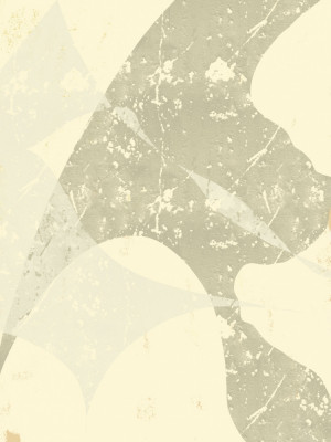 Organic Muted Curves