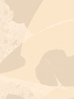 Soft Neutral Abstract