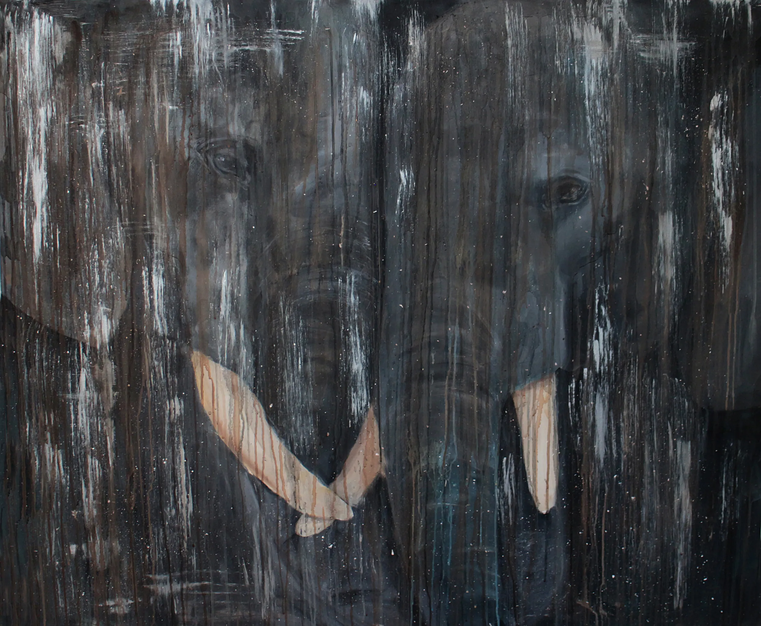 Elephant shadows von jenny nielsen